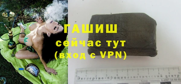 герыч Мегион