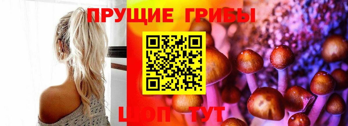 Галлюциногенные грибы GOLDEN TEACHER  Вход с VPN  Оренбург 